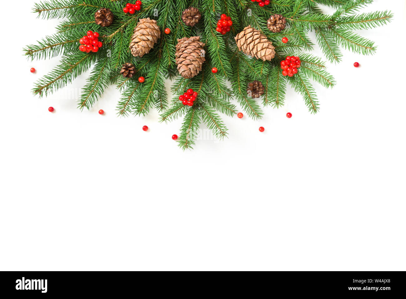 Christmas tree branches with cedar cones and red berries of viburnum as ...