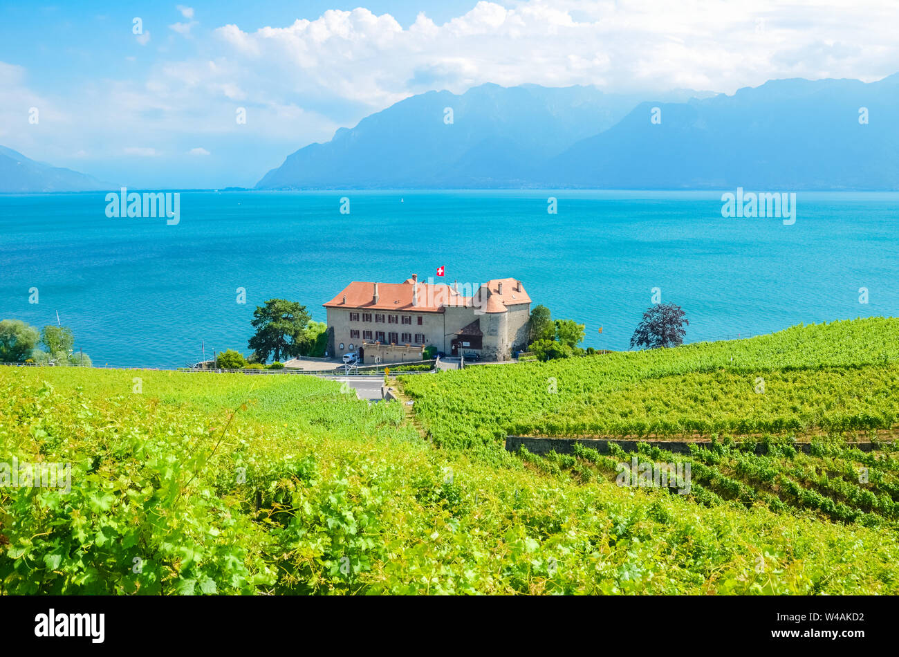Magnificent vineyards on slopes by Geneva Lake in Lavaux wine region