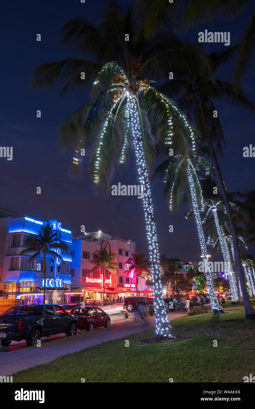 Palm Trees Decorated Christmas Lights High Resolution ...