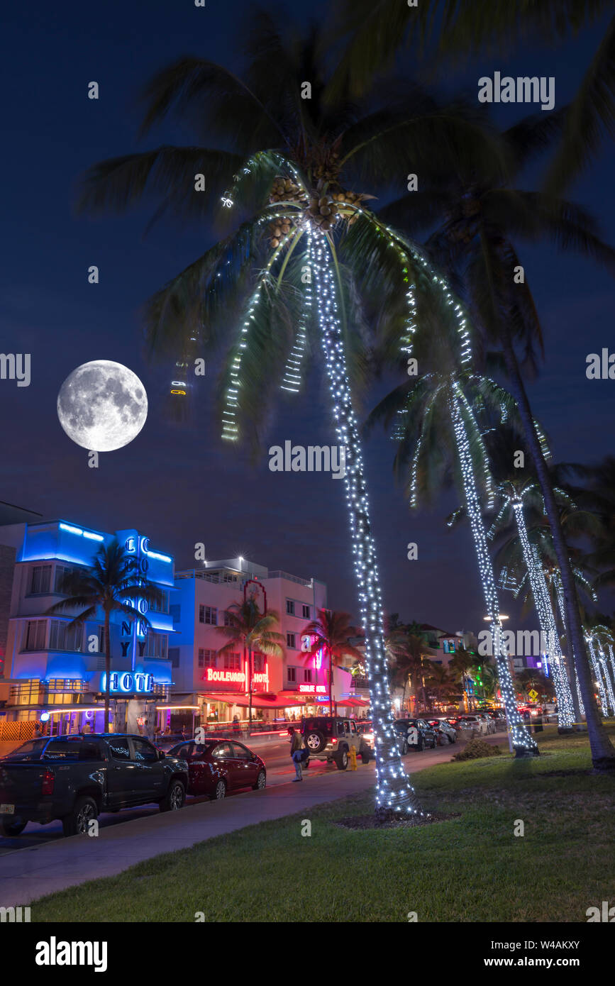 Christmas tree with palm trees on the beach hires stock photography and images Alamy
