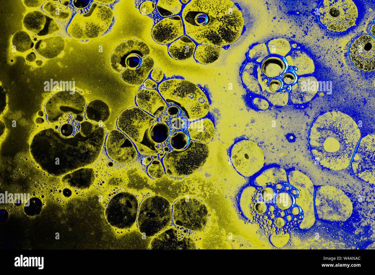 Oil bubbles inside water base form patterns Stock Photo - Alamy