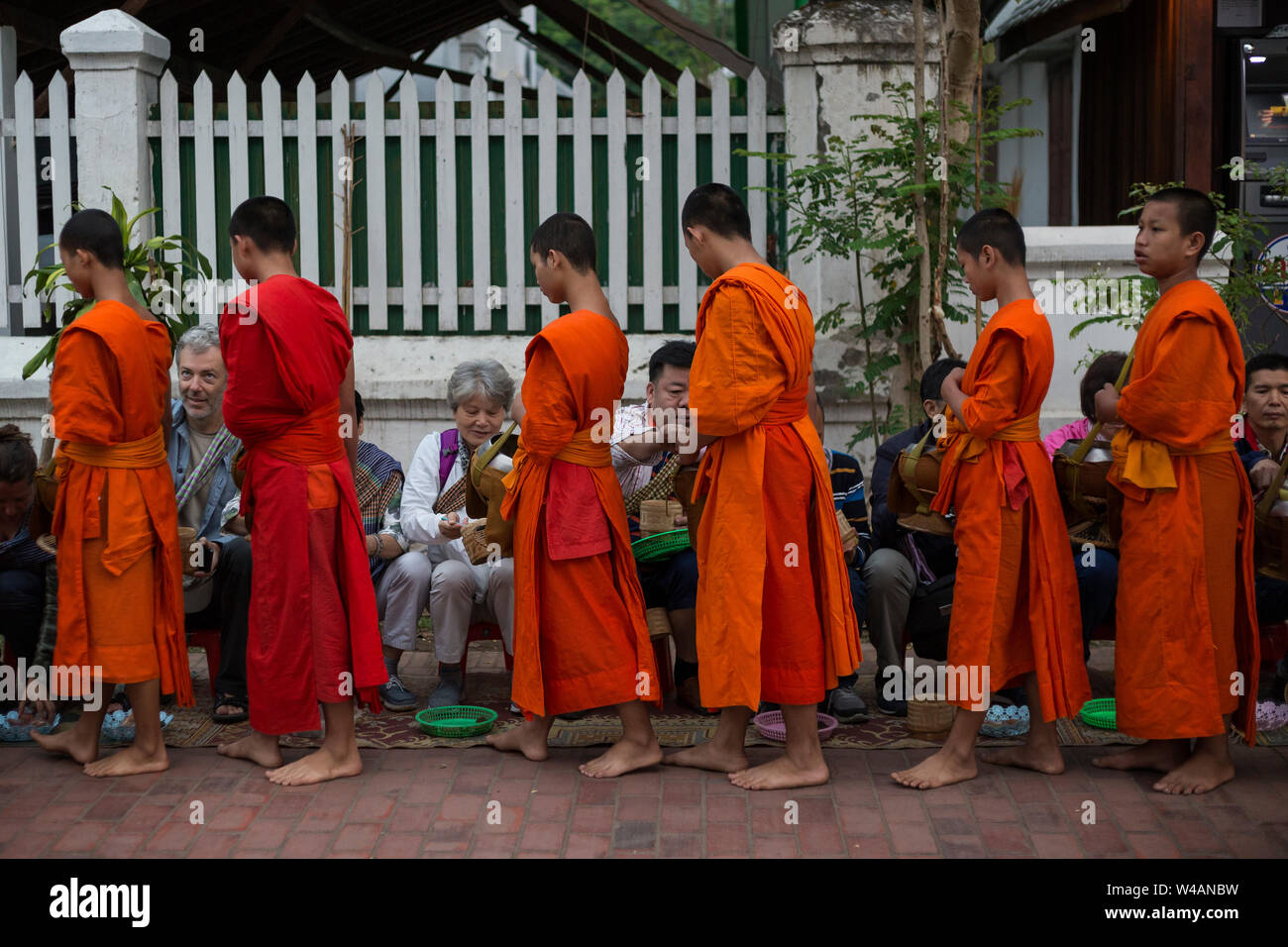 People giving alms to young Buddhist monks on the street early in the morning in Luang Prabang, Laos. The ritual is called Tak Bat. Stock Photo