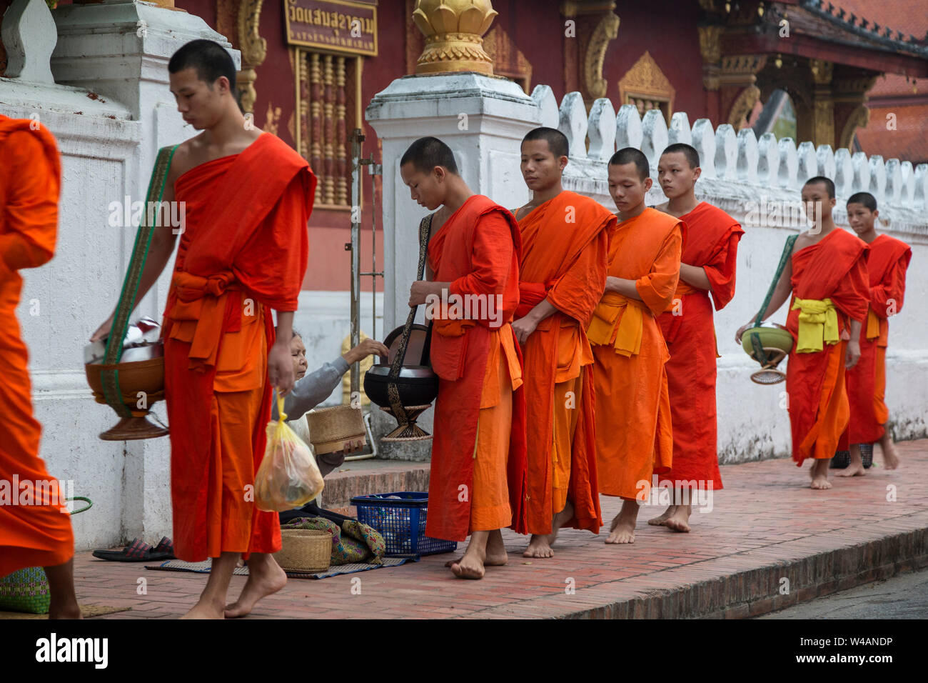 People giving alms to young Buddhist monks on the street early in the morning in front of the Wat Sensoukaram Temple in Luang Prabang, Laos. Tak Bat. Stock Photo