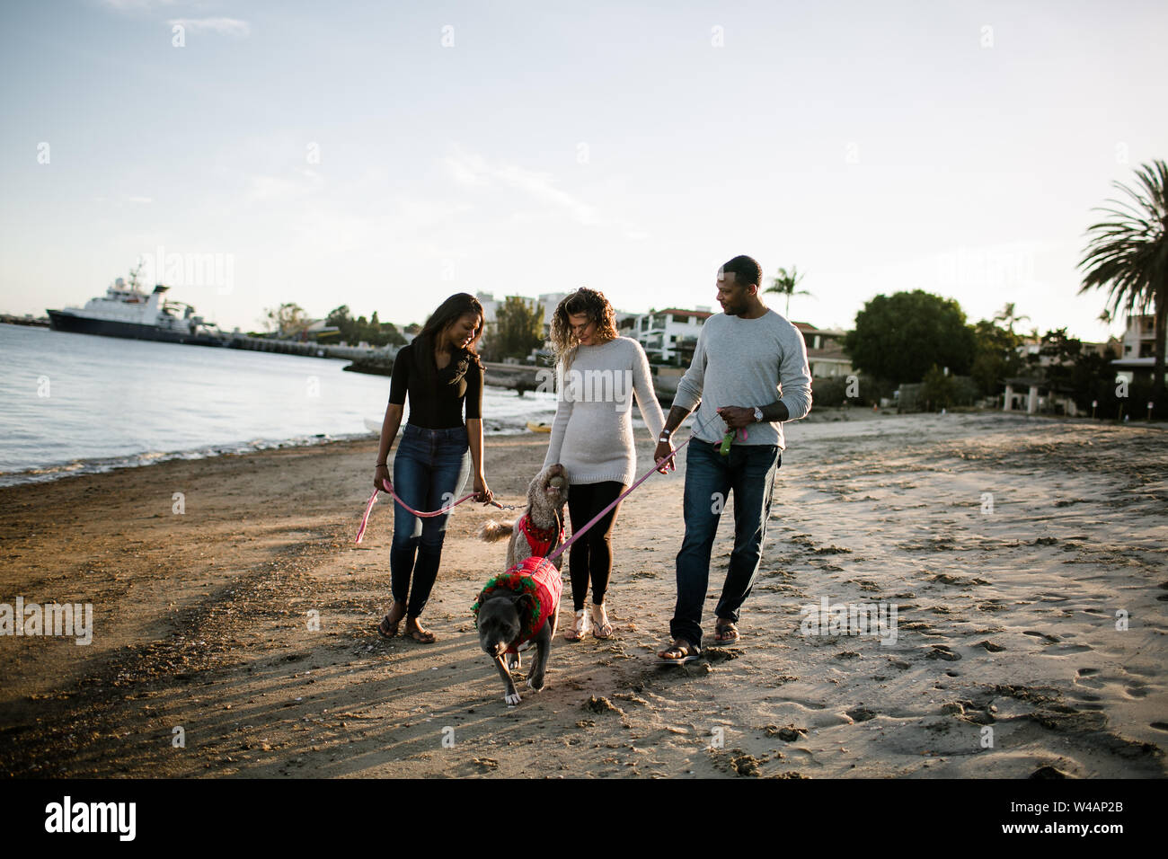 Multi racial family at beach hi-res stock photography and images - Alamy