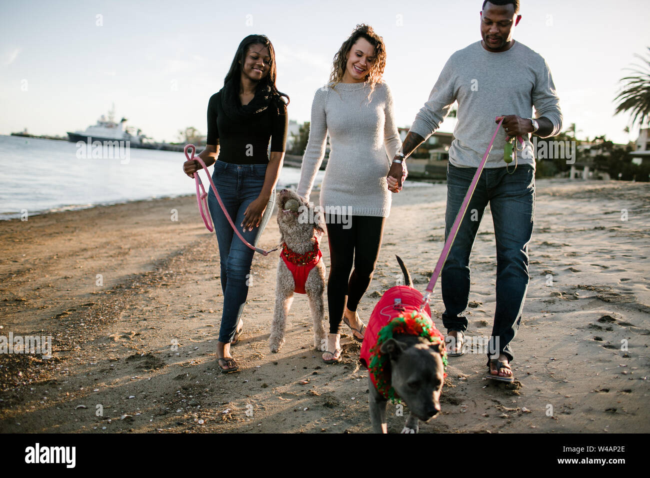 blended family walking dogs on beach at sunset Stock Photo