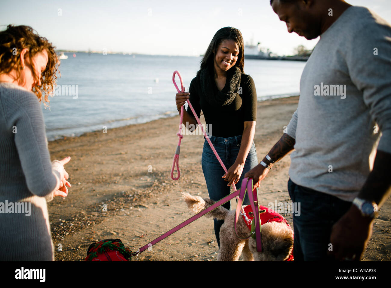 Blended family walking dogs on beach at sunset Stock Photo