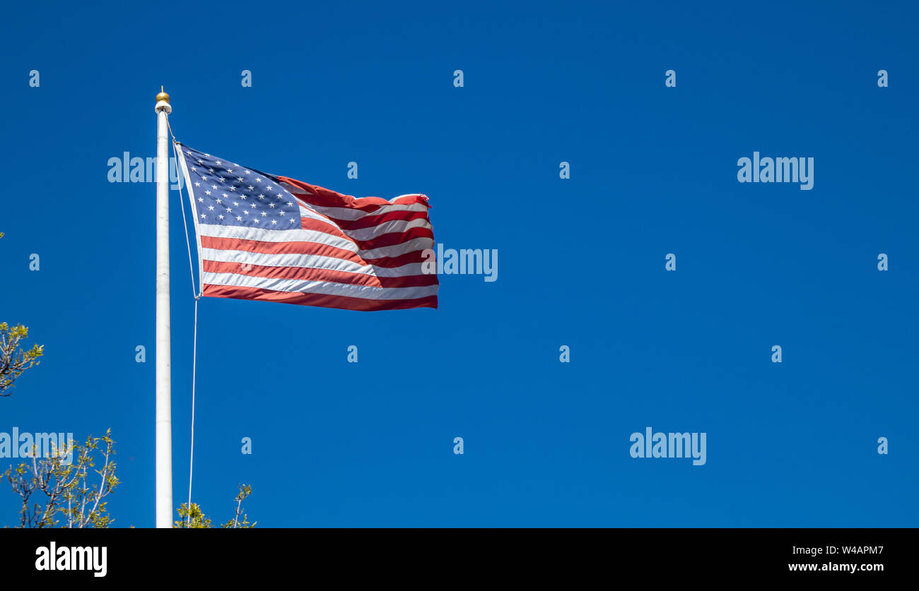 USA symbol. United States of America flag on a pole waving isolated ...