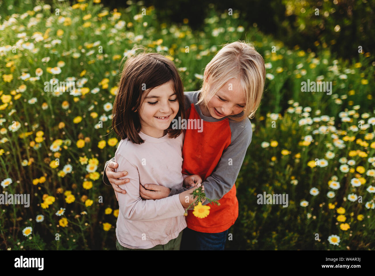 School-aged boy and girl hugging in field of flowers Stock Photo