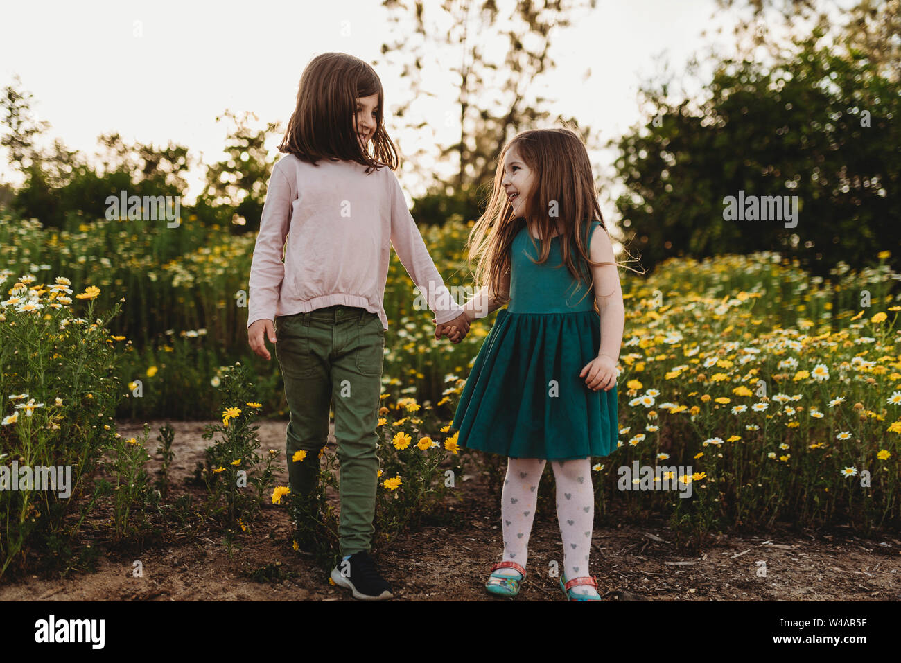 Smiling sisters walking through a field of flowers in spring Stock Photo