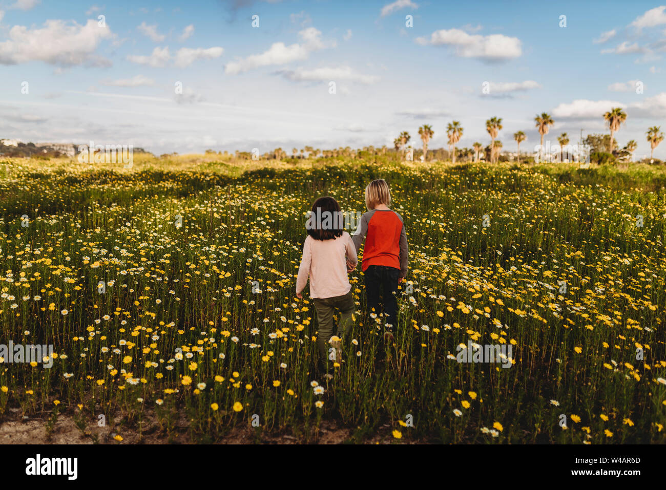 Back view of boy and girl holding hands and walking through flowers Stock Photo