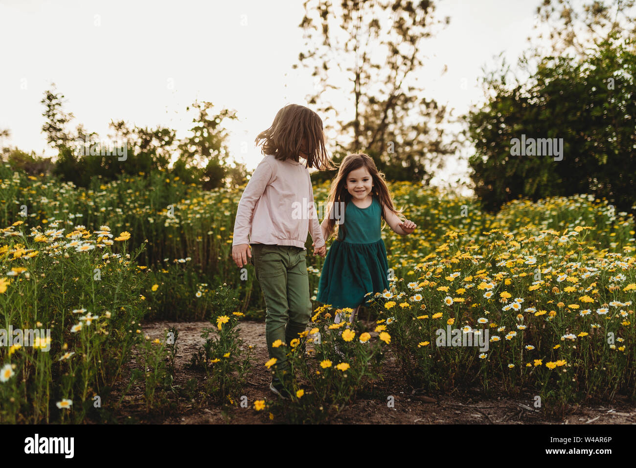 Smiling sisters running through a field of flowers in spring Stock Photo