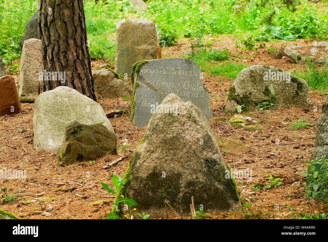 Muslim cemetery in Kruszyniany, Poland. July 6th 2008 © Wojciech Strozyk / Alamy Stock Photo Stock Photo