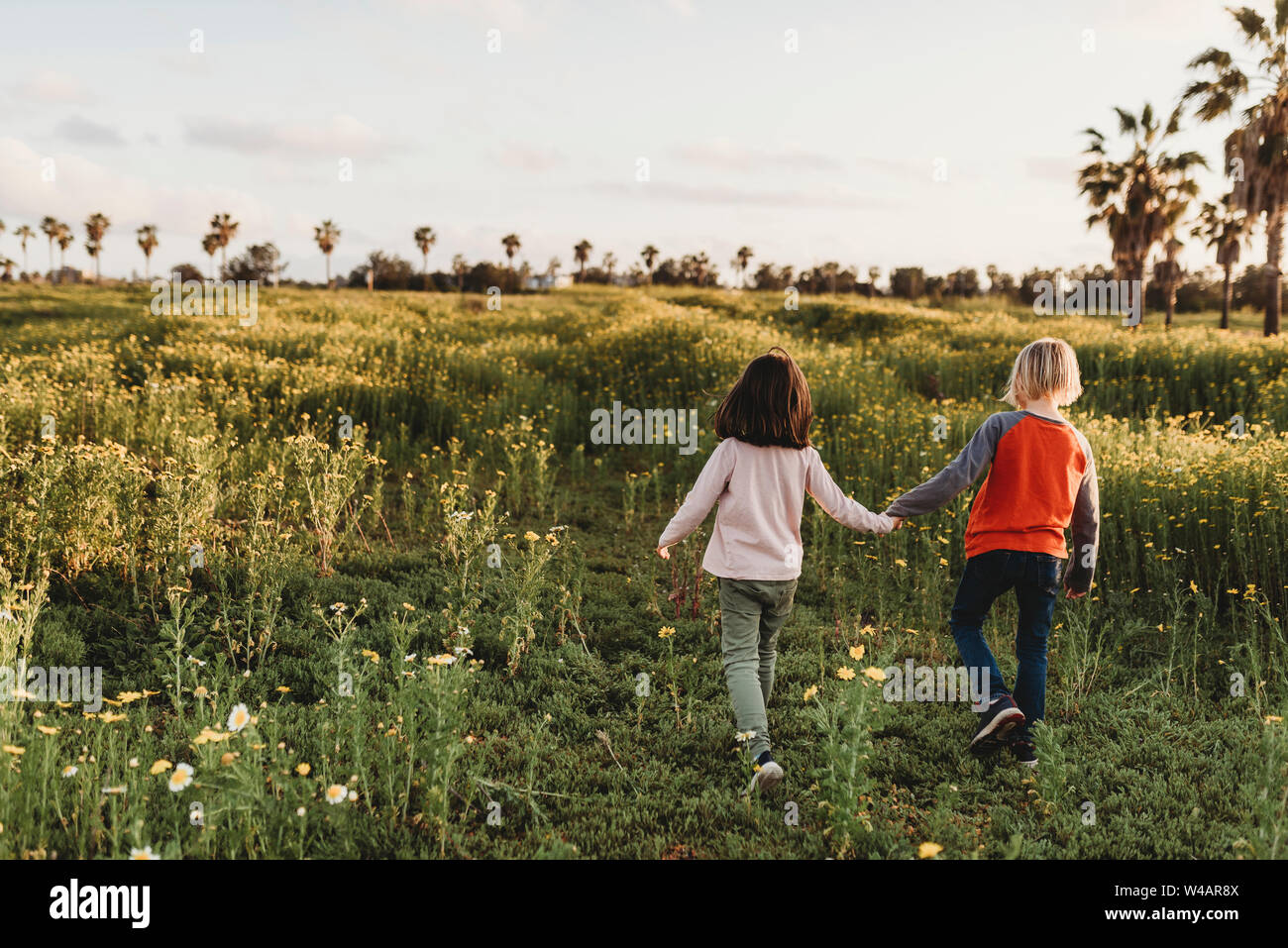 Little girl and boy holding hands walking away into a field Stock Photo