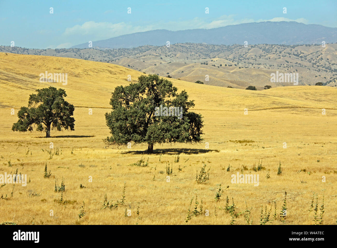 Central california erosion hi-res stock photography and images - Alamy