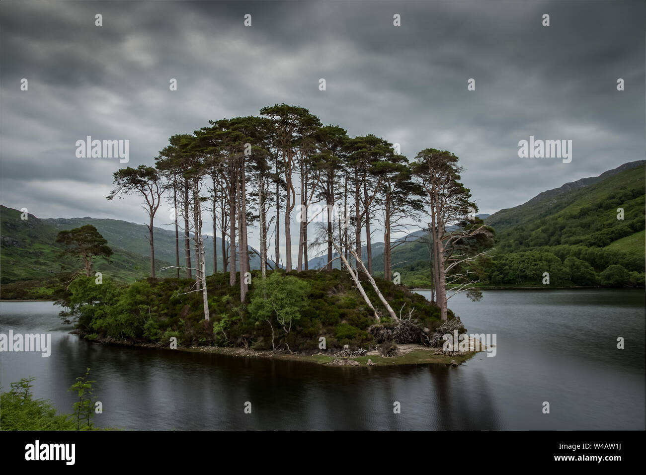 Eilean na Moine, Loch Eilt, Scotland - filming location for Dumbledore's burial in Harry Potter Stock Photo
