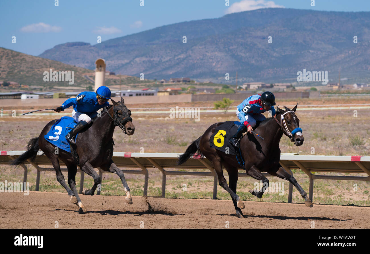 Two race horses closing on the finish line. Stock Photo