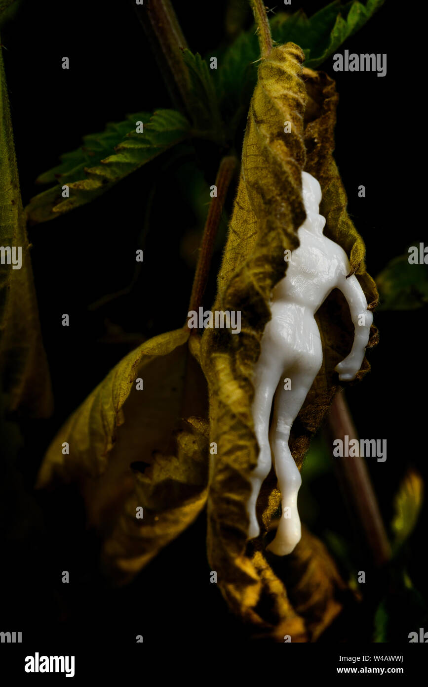 Female figure joining a leaf Stock Photo