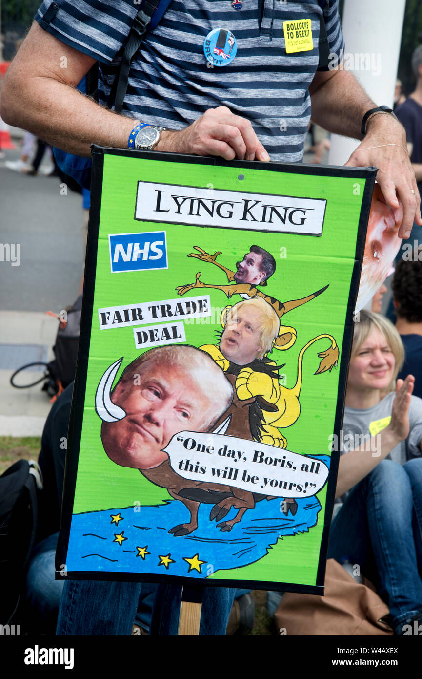 Anti Brexit and Anti- Boris demonstration July 20th. A protester holds a poster of Trump and Boris with the caption 'Lying king'. Stock Photo