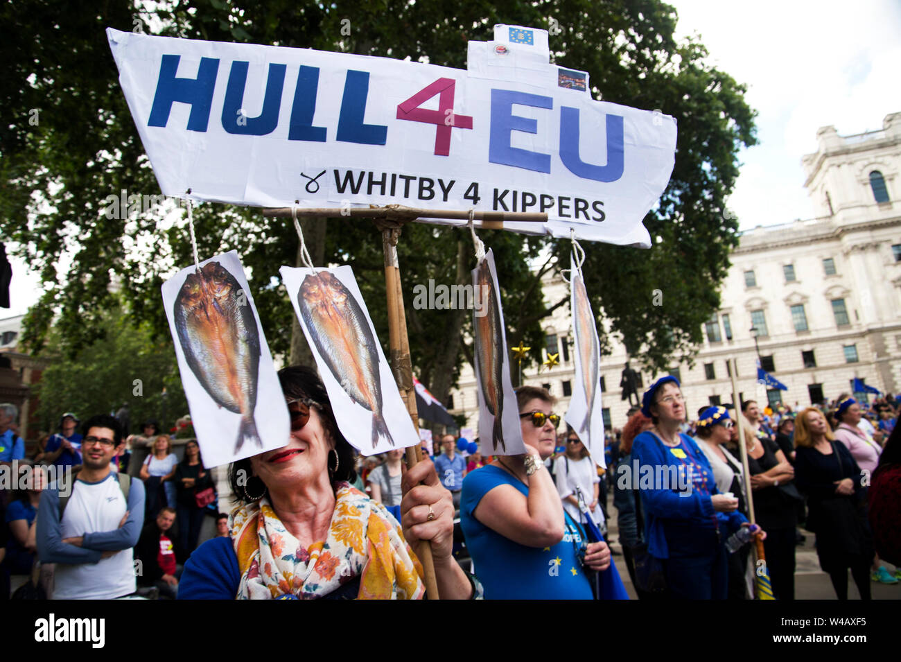 Anti Brexit and Anti- Boris demonstration July 20th. A woman holds a sign saying 'Hull for EU' with four kippers after Boris Johnson wrongly accused t Stock Photo