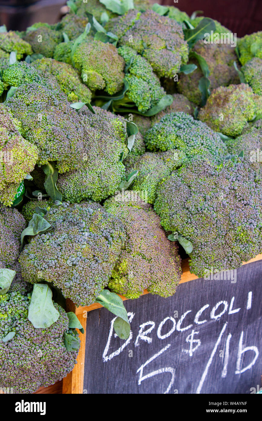 Display of fresh ripe organic broccoli at the weekend farmer's market in the Okanagan Valley city of Penticton, British Columbia, Canada. Stock Photo