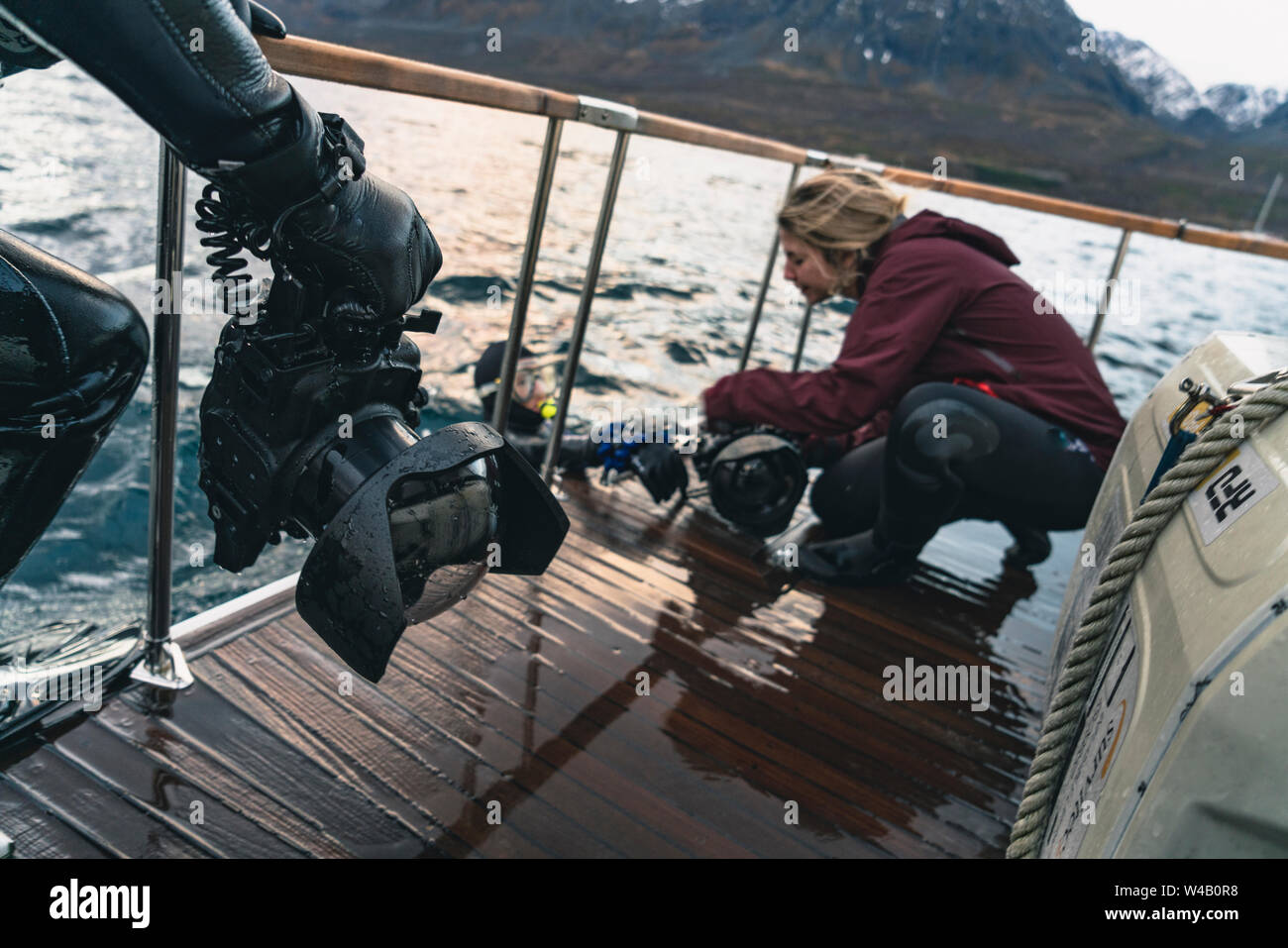 Photographers Snorkeling with Orcas Stock Photo Alamy