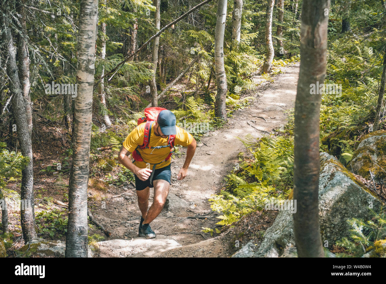Long Distance Trail Running Stock Photo