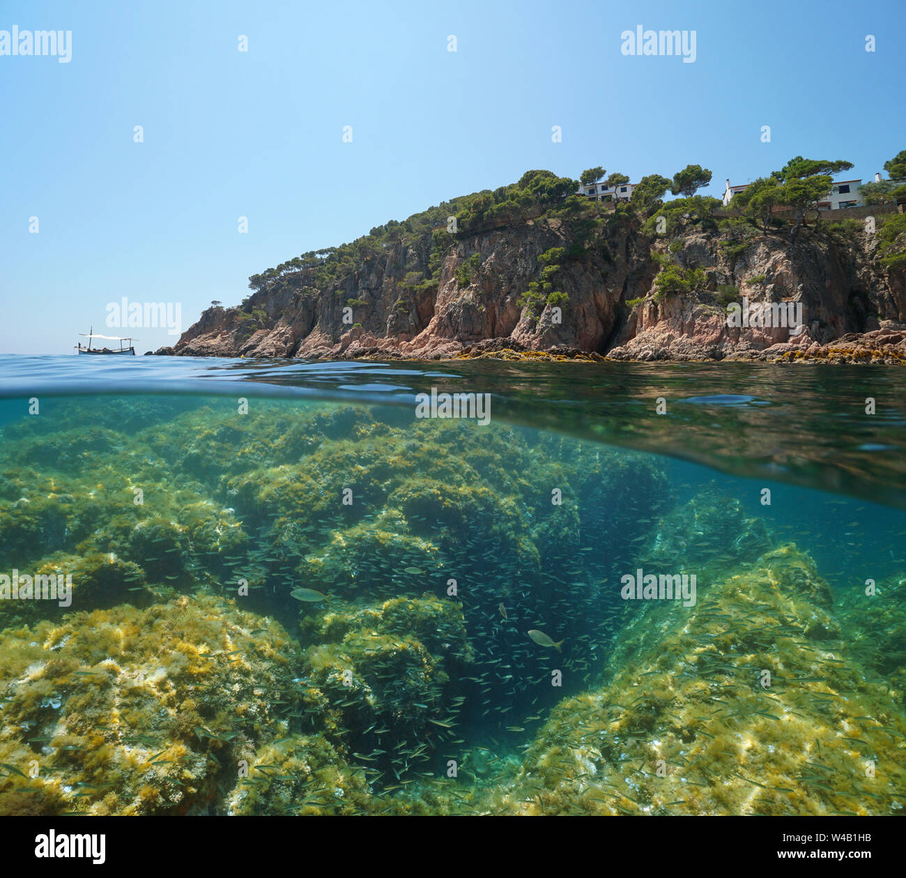 Spain rocky coast with a shoal of small fish underwater, Mediterranean sea, split view above and below water, Costa Brava,  Palafrugell, Catalonia Stock Photo