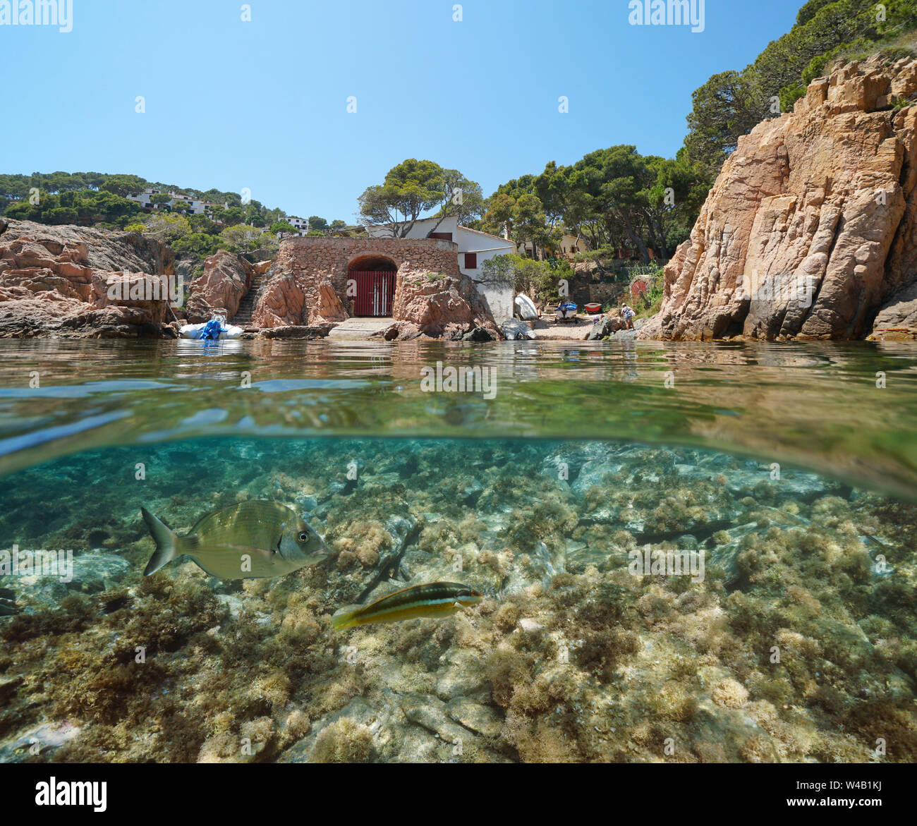 Spain Costa Brava rocky cove with boathouse and fish underwater, Mediterranean sea, split view, Aigua Xelida, Palafrugell, Catalonia Stock Photo