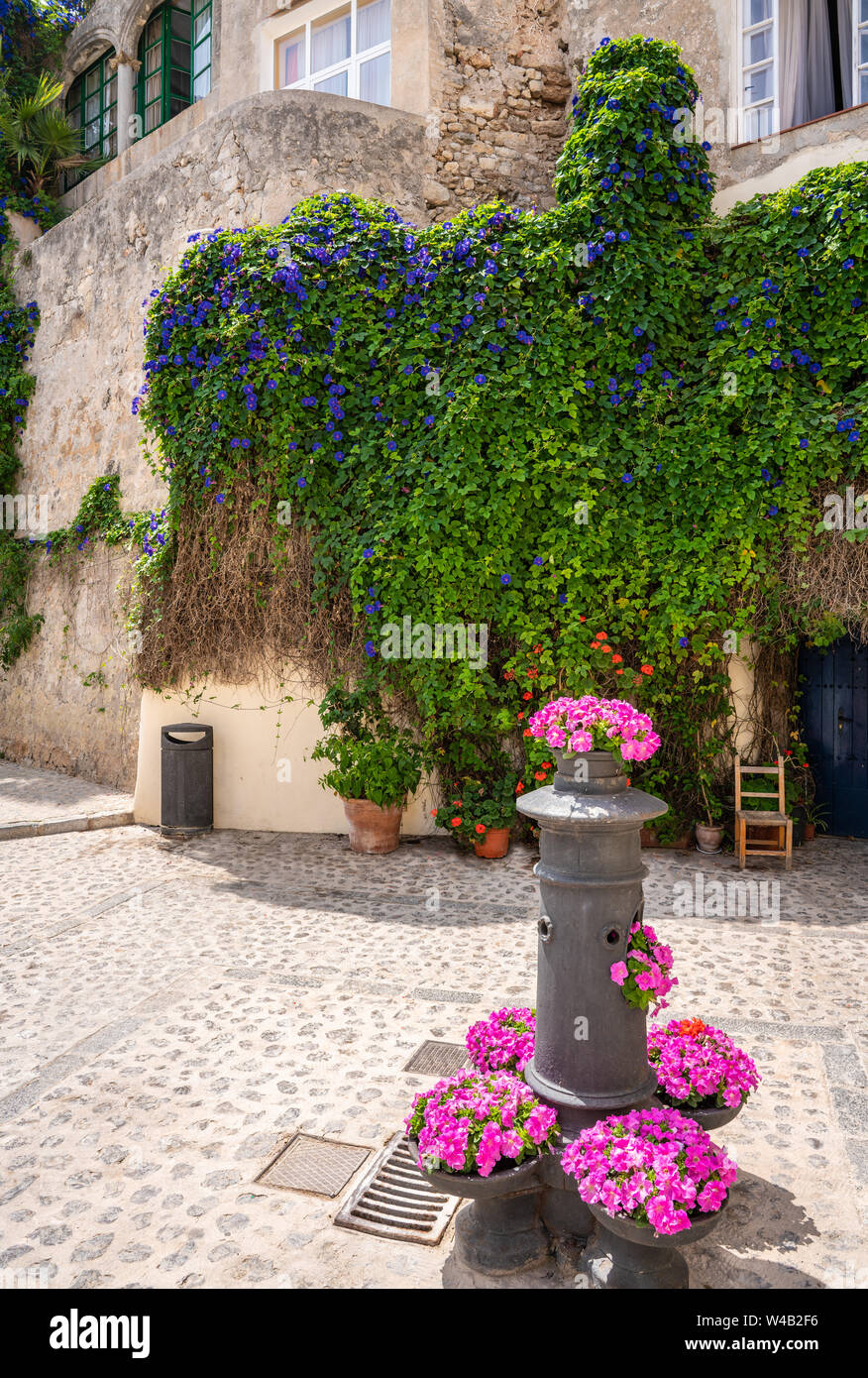 Ibiza Eivissa downtown Dalt Vila flower facades in Balearic Islands Stock Photo