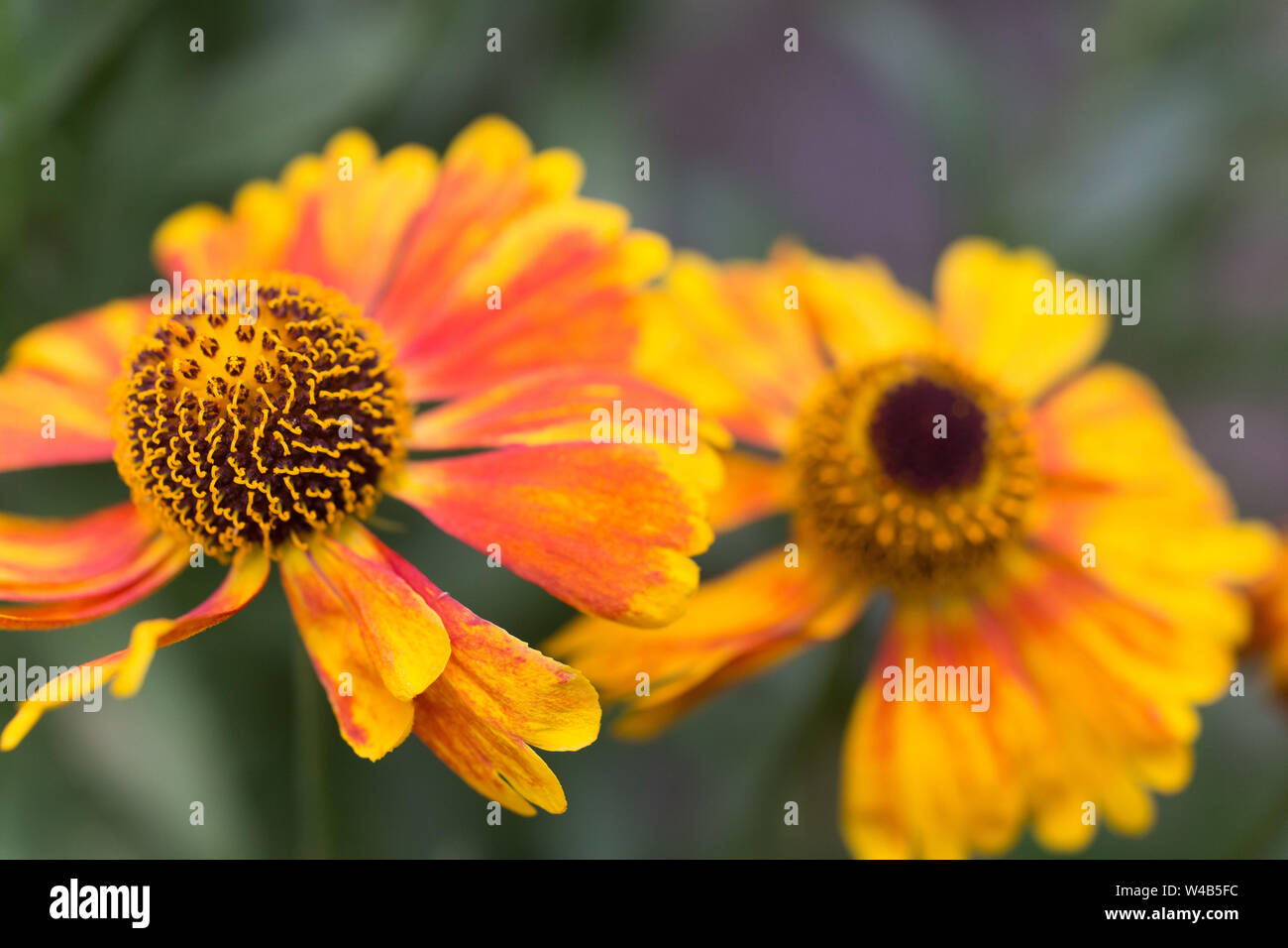 Annual rent hires stock photography and images Alamy