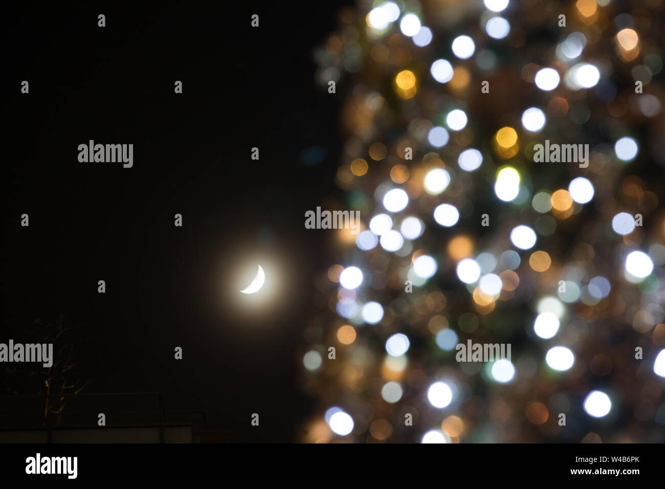 Christmas tree and the moon Stock Photo