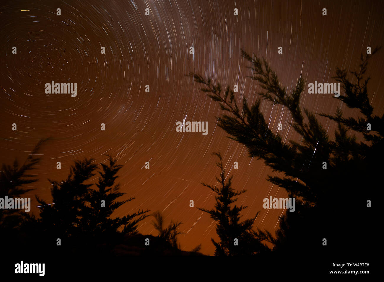 Long exposure of Milky Way and tree, Ohau, Mackenzie Country, Canterbury, South Island, New Zealand Stock Photo
