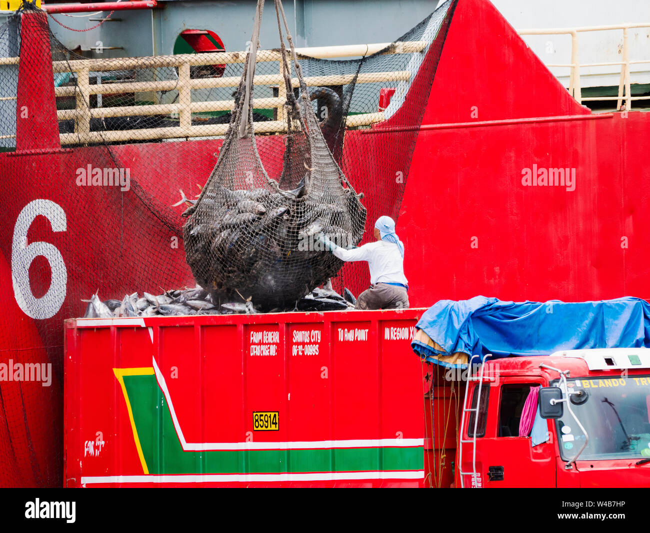 General Santos City, The Philippines - October 16, 2018: Frozen yellowfin tuna being loaded onto a truck from a feeder ship at the fishing port of Gen Stock Photo