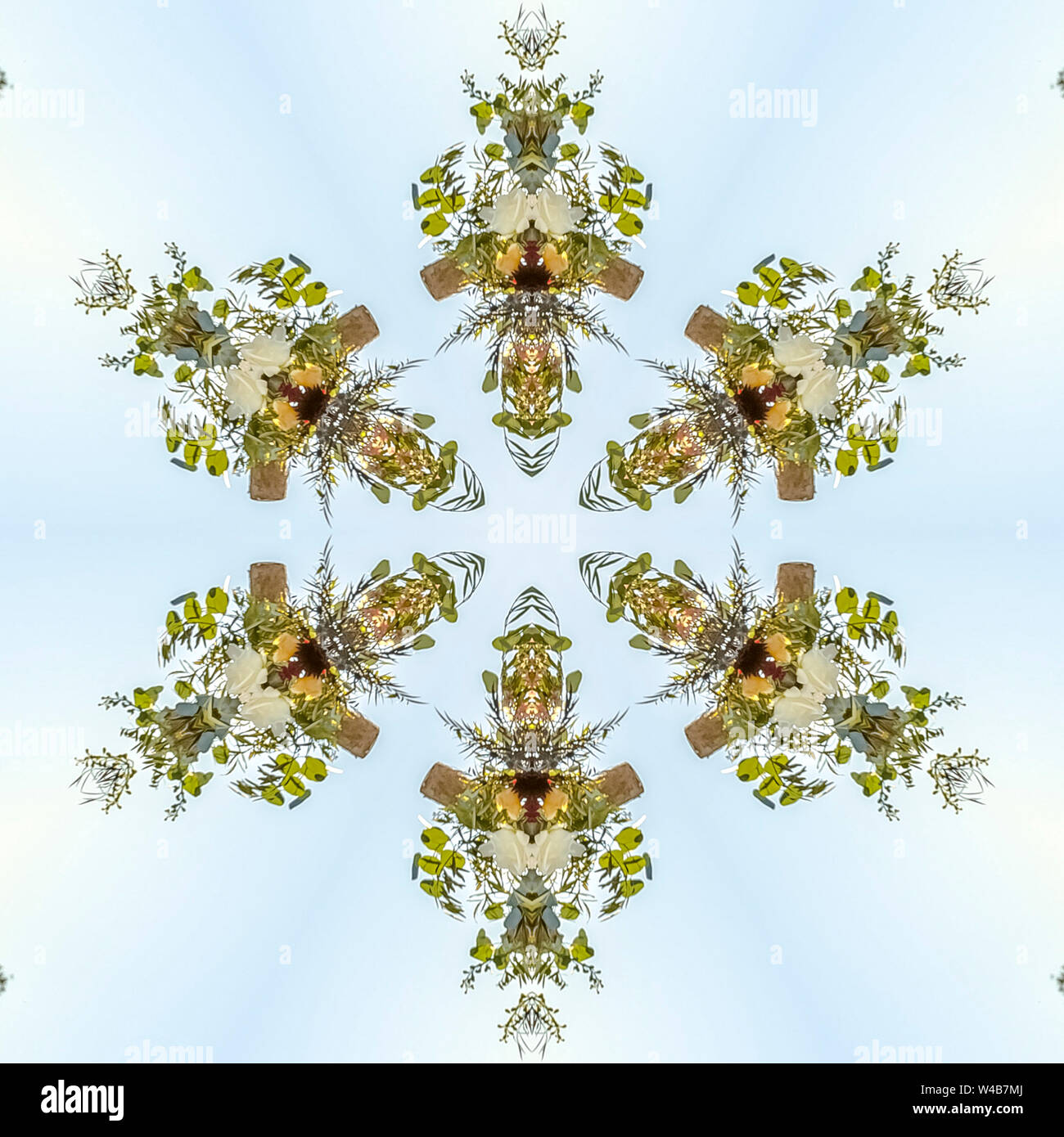 Interesting geometric design shapes of a floral pattern against the sky ...