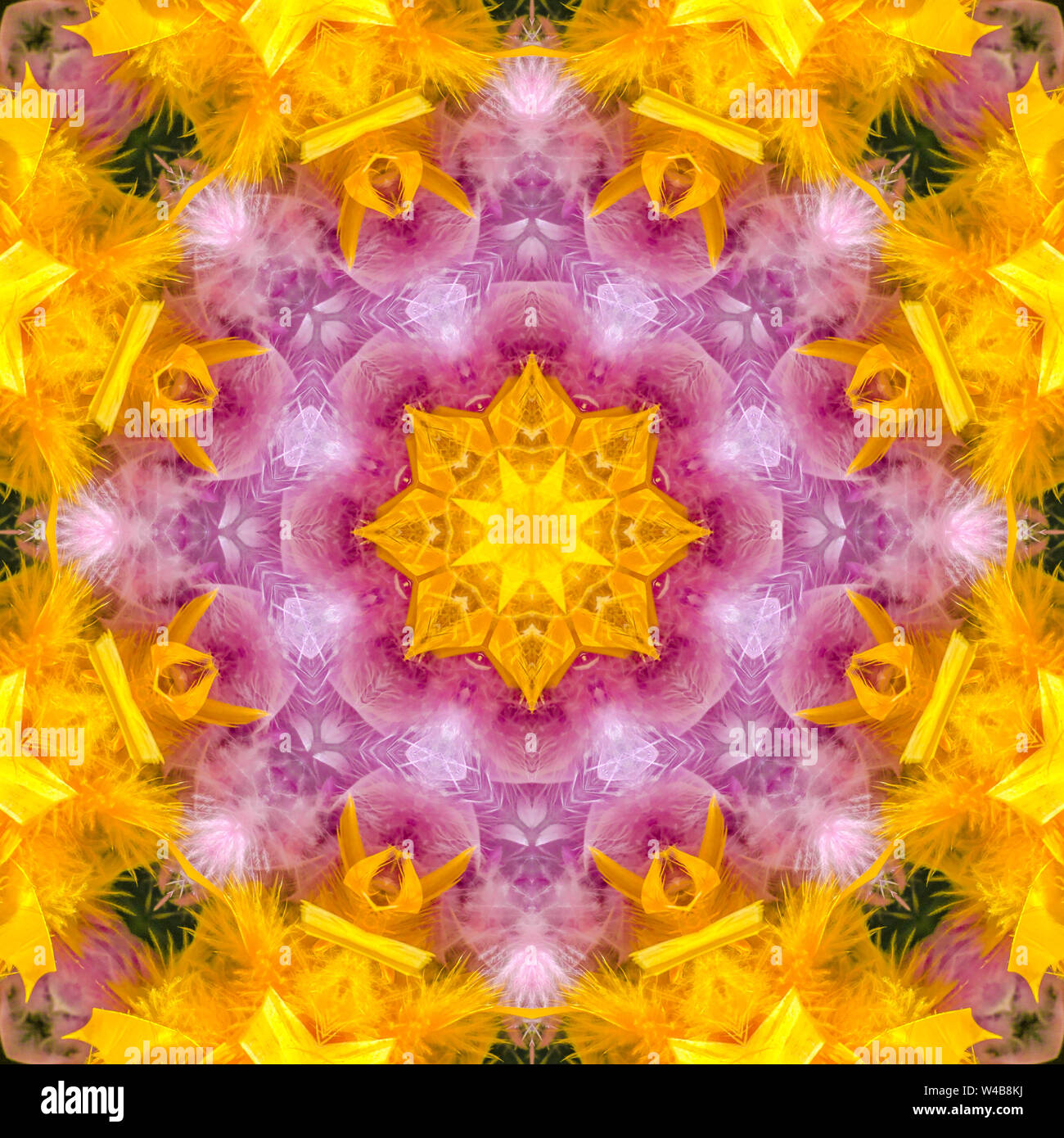Reflections of a vibrant feather pattern. Geometric kaleidoscope ...