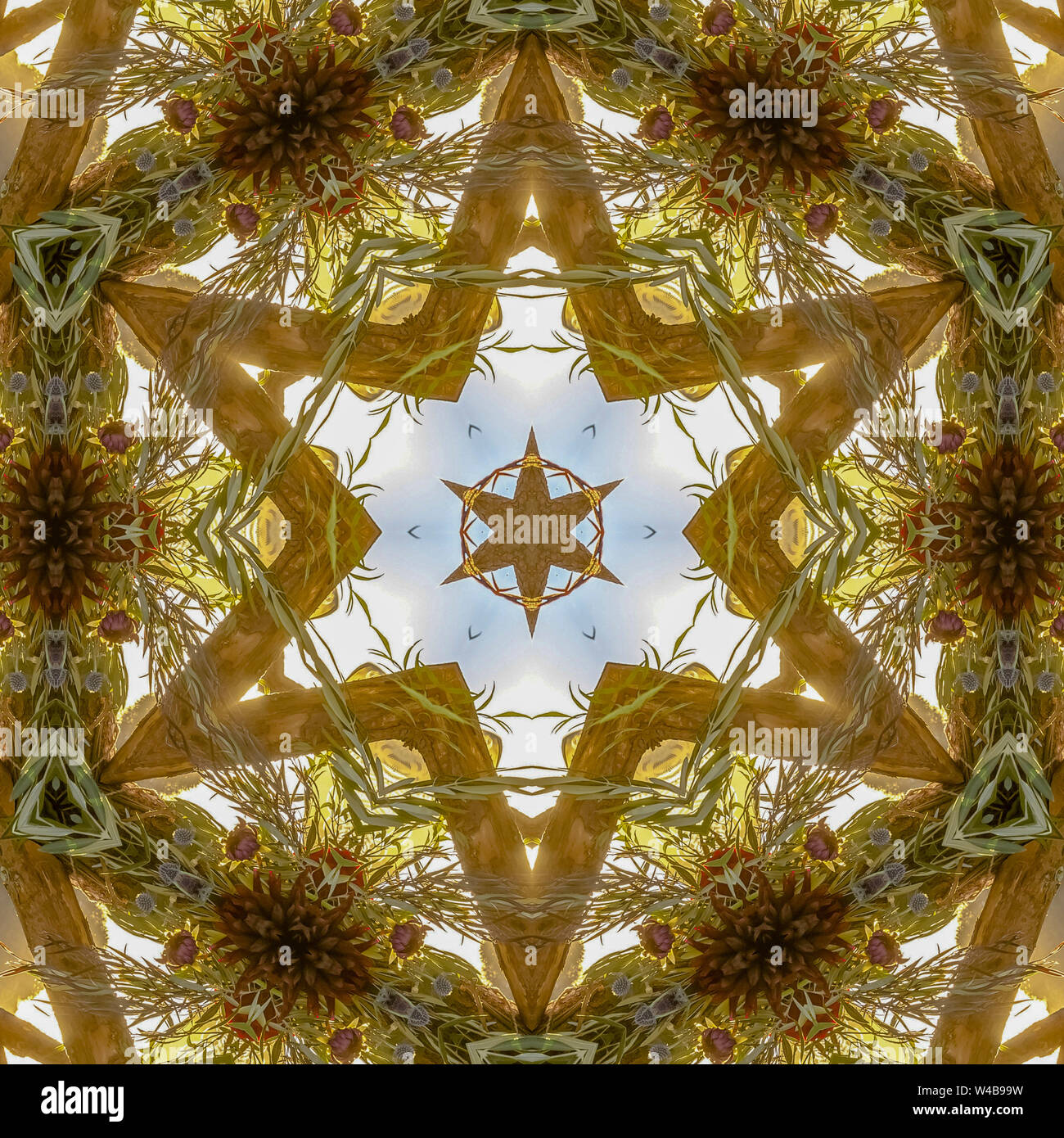 Image Reflection Stardesign Star sh hi-res stock photography and images - Alamy