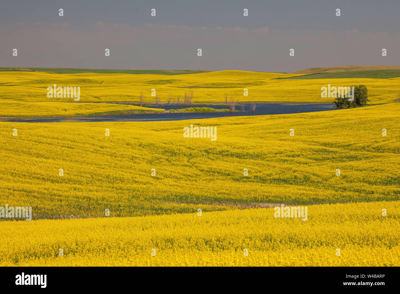 Dakota county hires stock photography and images Alamy