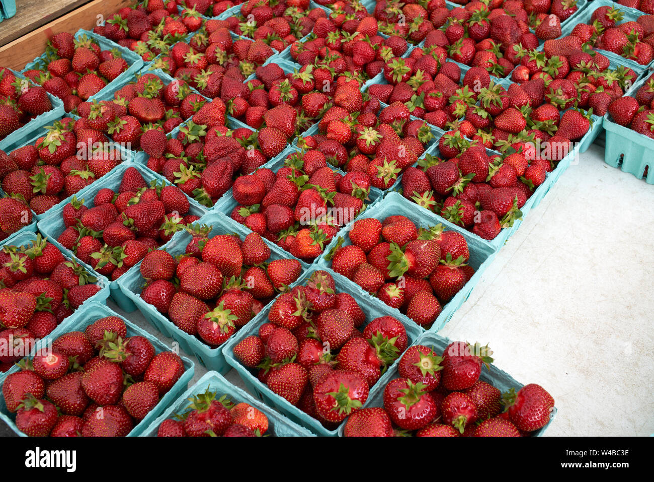 Fresh red strawberries for sale at farmers market stand Stock Photo Alamy
