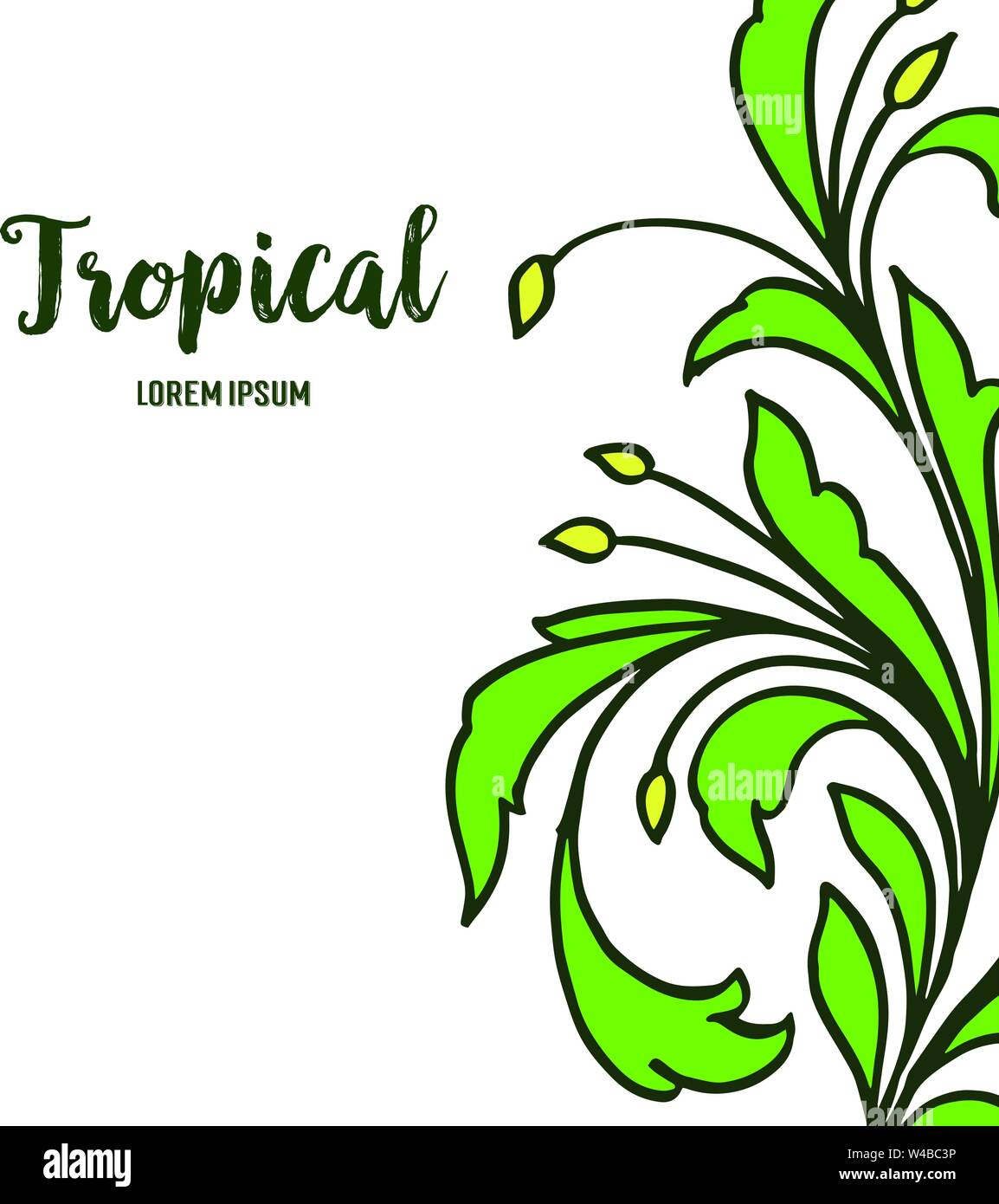Banner Shape Of Card Tropical Various Rose Flower Frame And Green