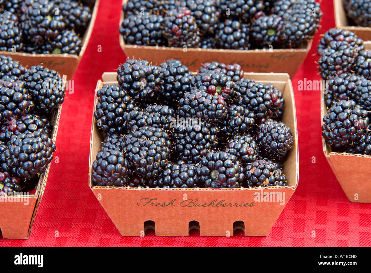 Boysenberries hires stock photography and images Alamy