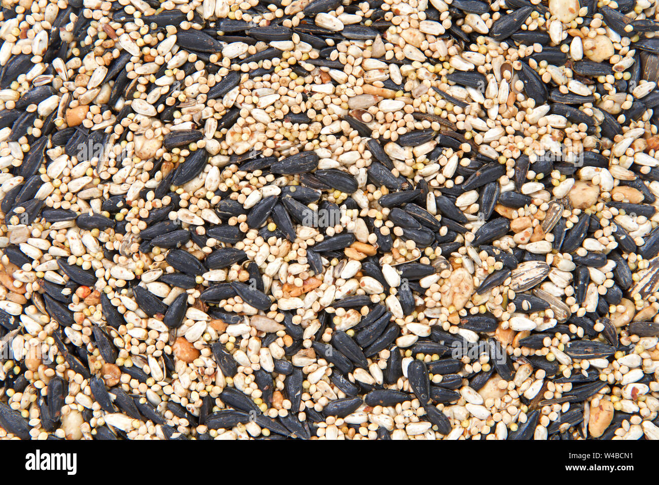 Close up on bird seed cake with sunflowers, peanuts, safflower, millet