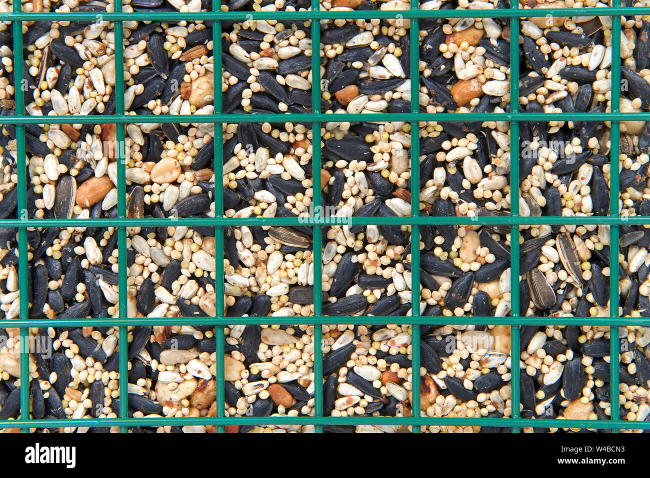 Close up on large bird seed cake for bird feeder inside wire basket