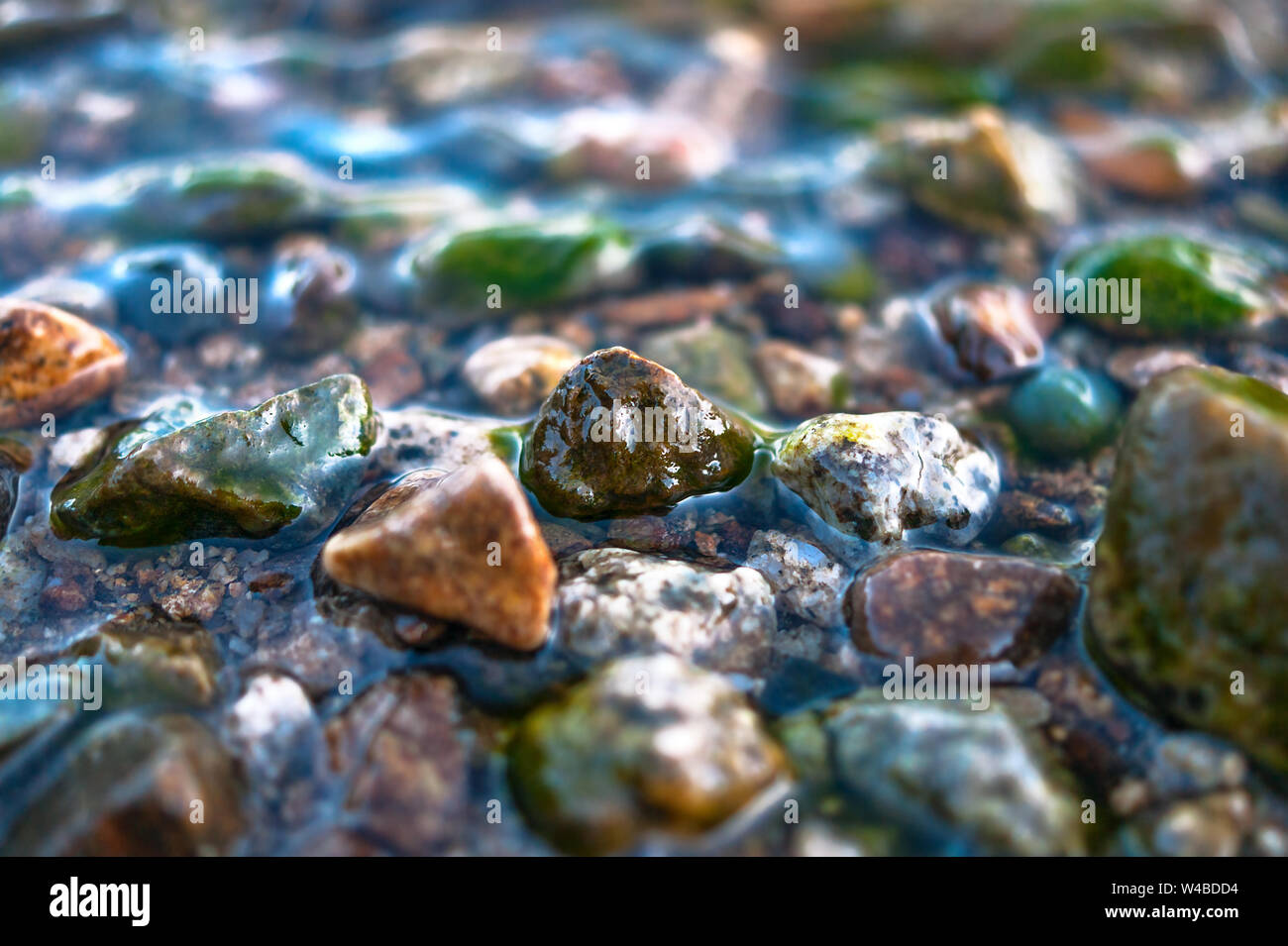 Close-up View of Colorful Pebbles in Water Waves. Travel Concept. Stock Photo