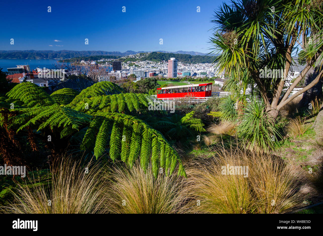 Cable car, Wellington, New Zealand Stock Photo Alamy