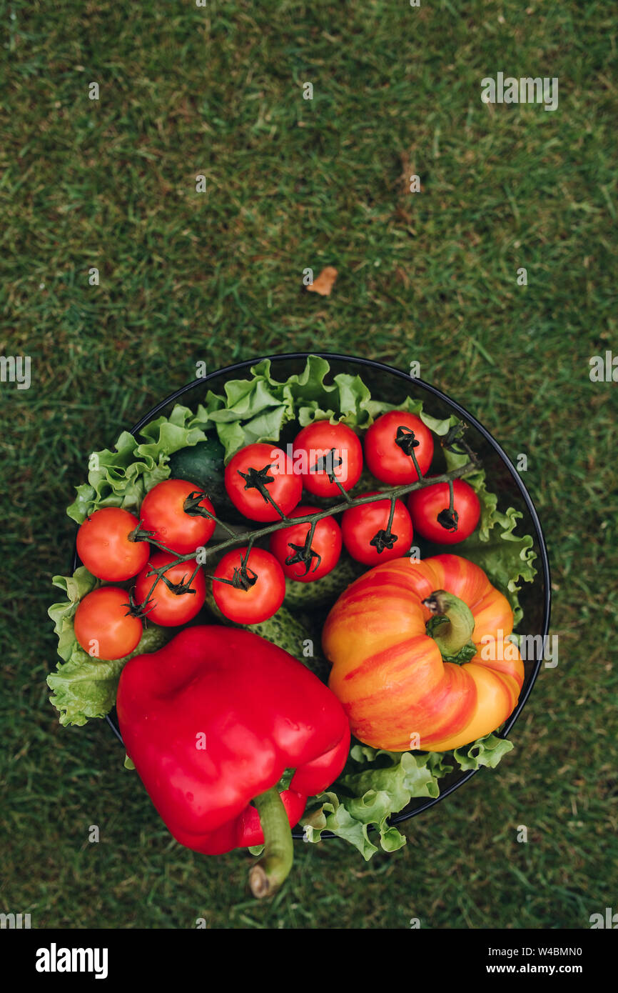 Selective focus of healthy red and yellow peppers Stock Photo - Alamy