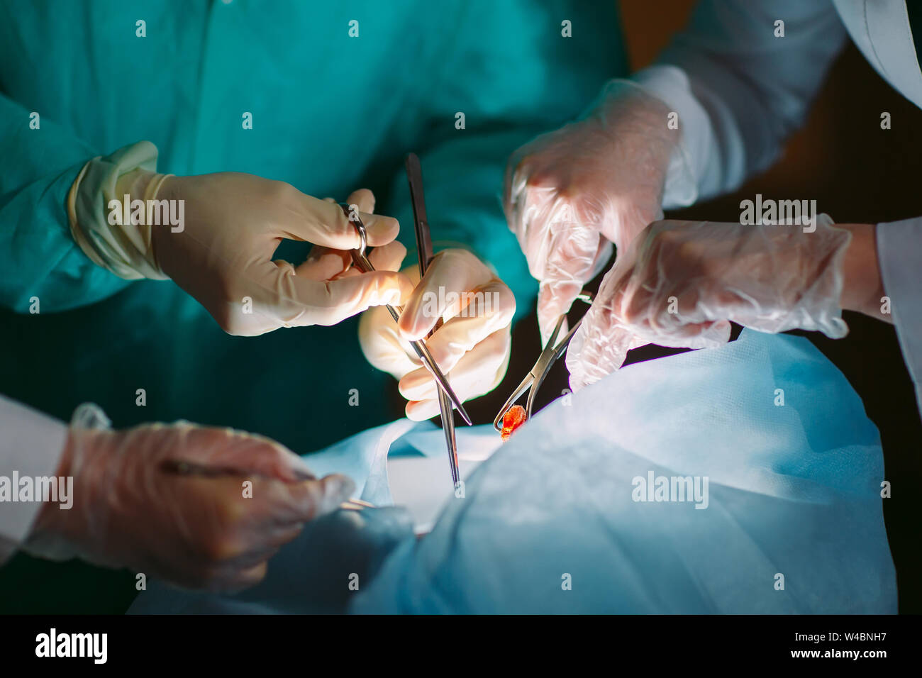 Hands closeup of surgeons holding medical instruments. The surgeon