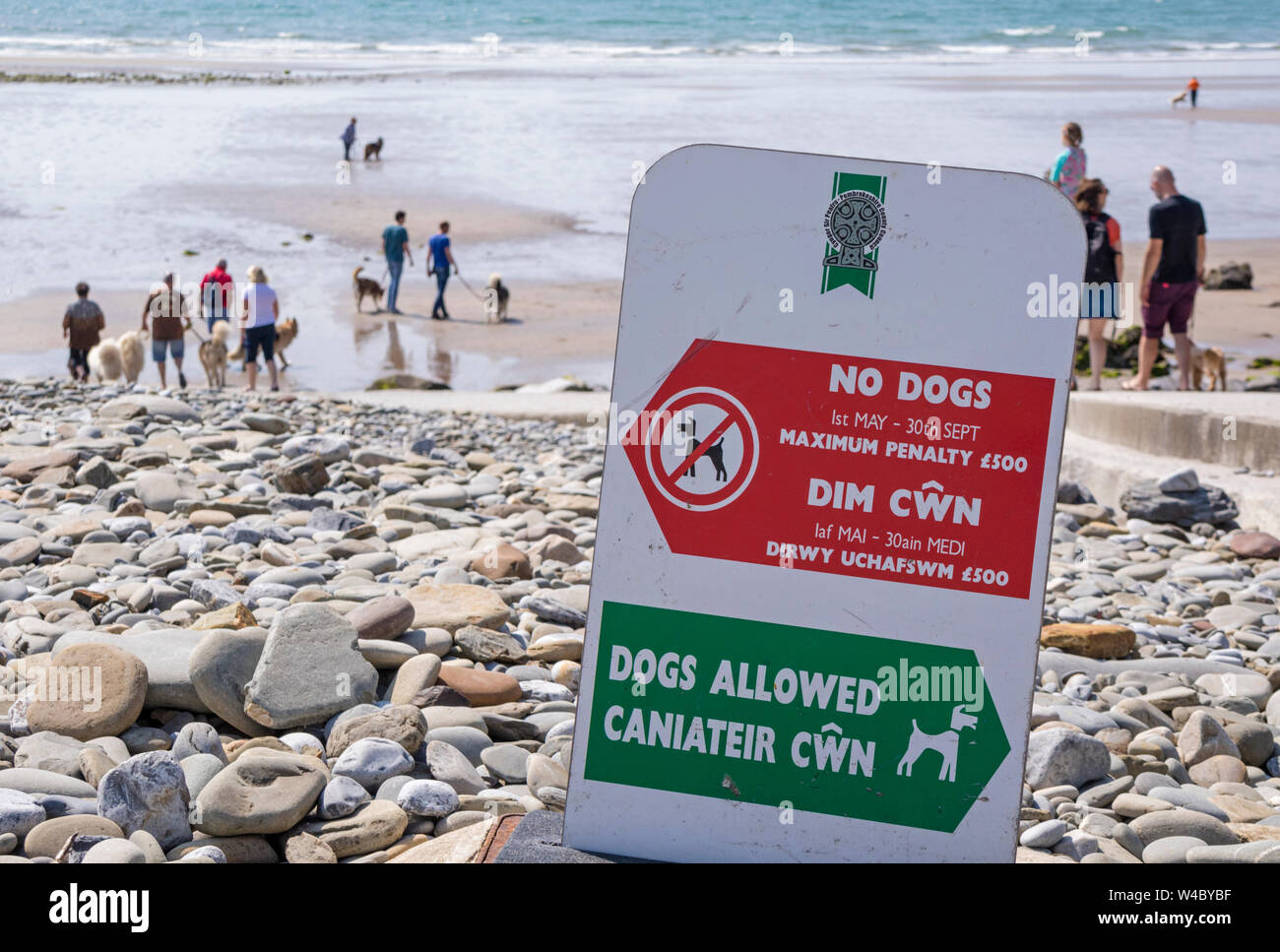 Beach dog allowed hires stock photography and images Alamy
