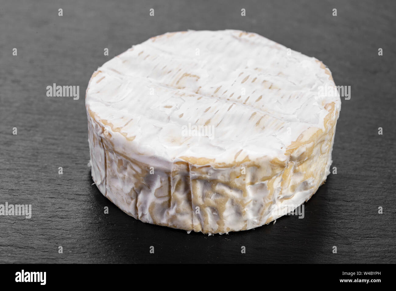 whole round brie cheese head with white mold on a black background Stock Photo Alamy