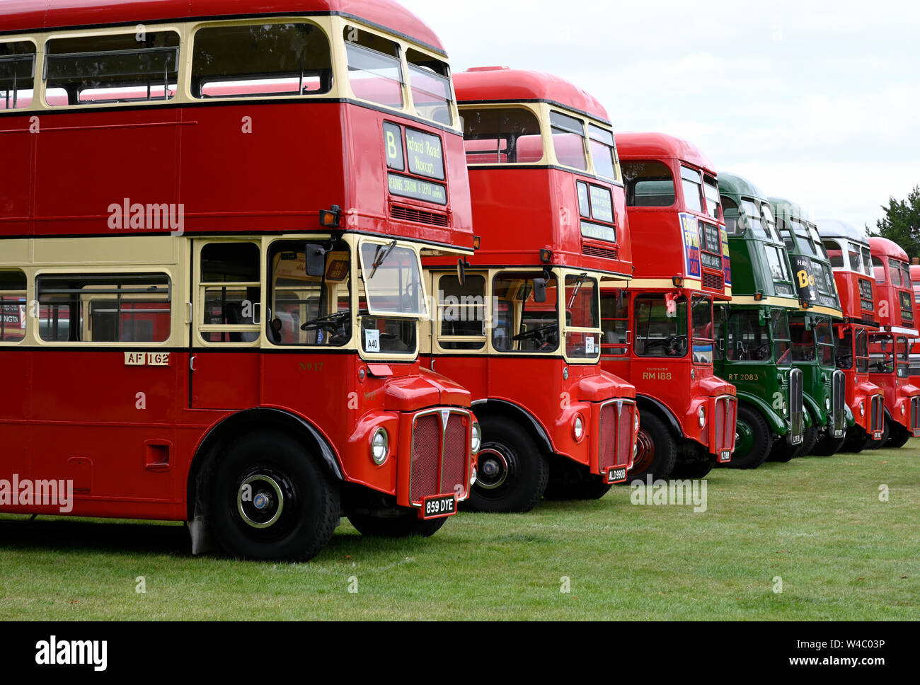 Line up of vintage buses on display at the Alton Annual Bus Show, Alton, Hampshire, UK Stock Photo