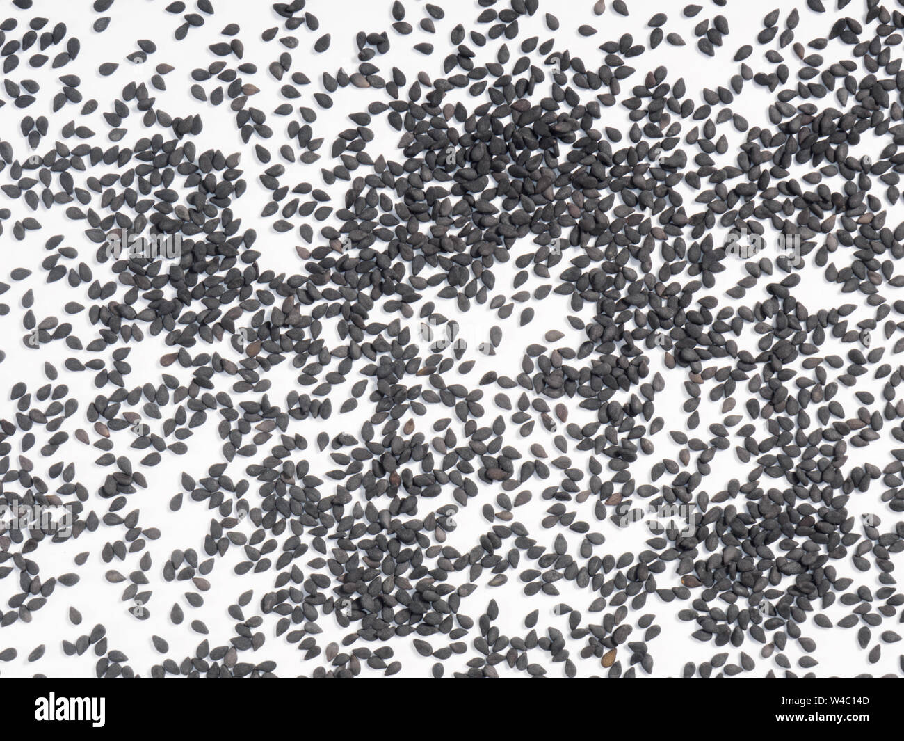 Black sesame (Sesamum) on a white background Stock Photo - Alamy
